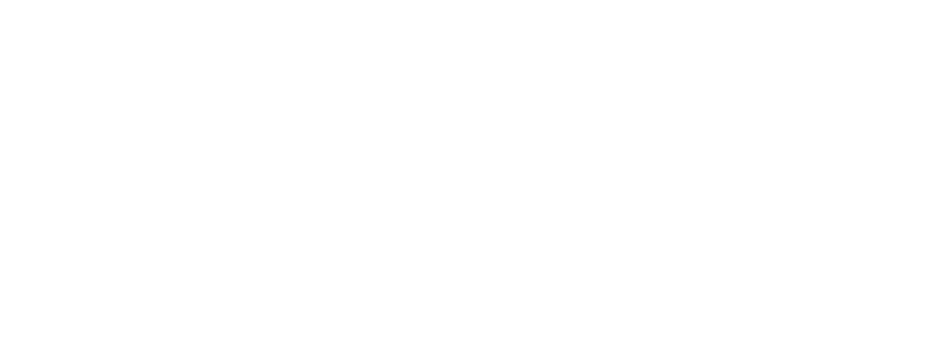 Red Elephant Travel Group